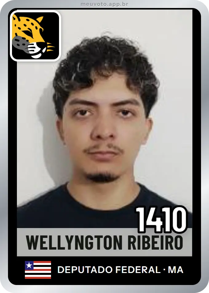 Carta de Wellyngton Ribeiro, número 1410, Missão