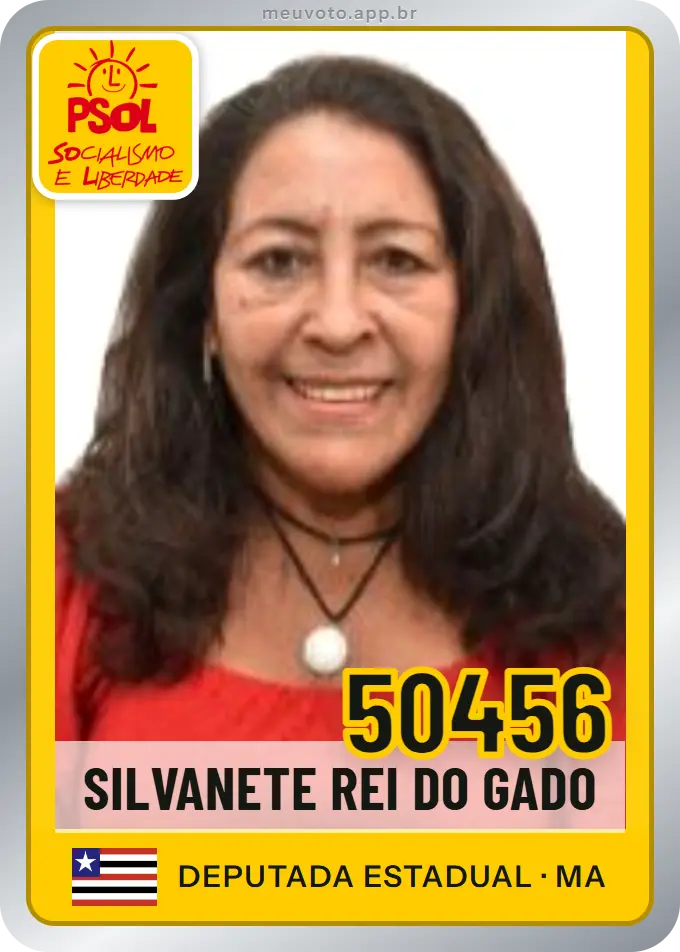 Carta de Silvanete Rei do Gado, número 50456, PSOL