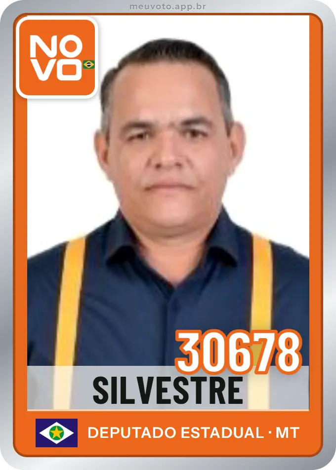 Carta de Silvestre, número 30678, Novo