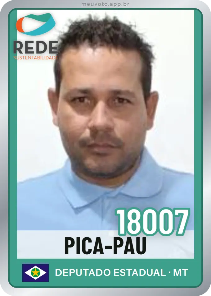 Carta de Pica-Pau, número 18007, Rede