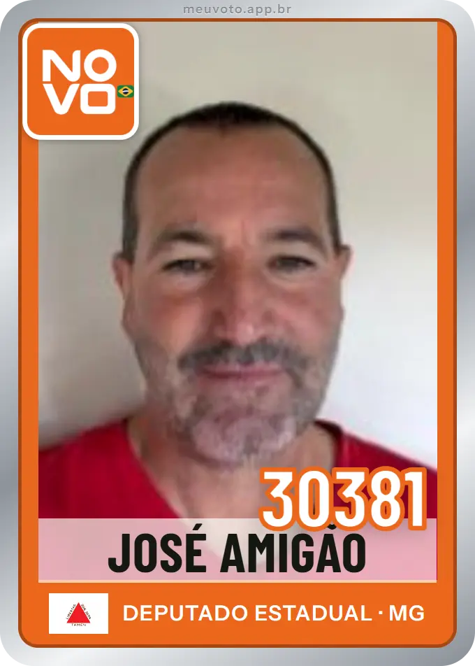 Carta de José Amigão, número 30381, Novo