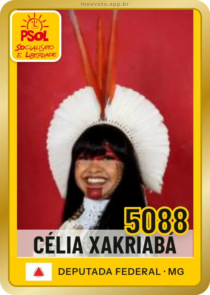 Carta de Célia Xakriabá, número 5088, PSOL
