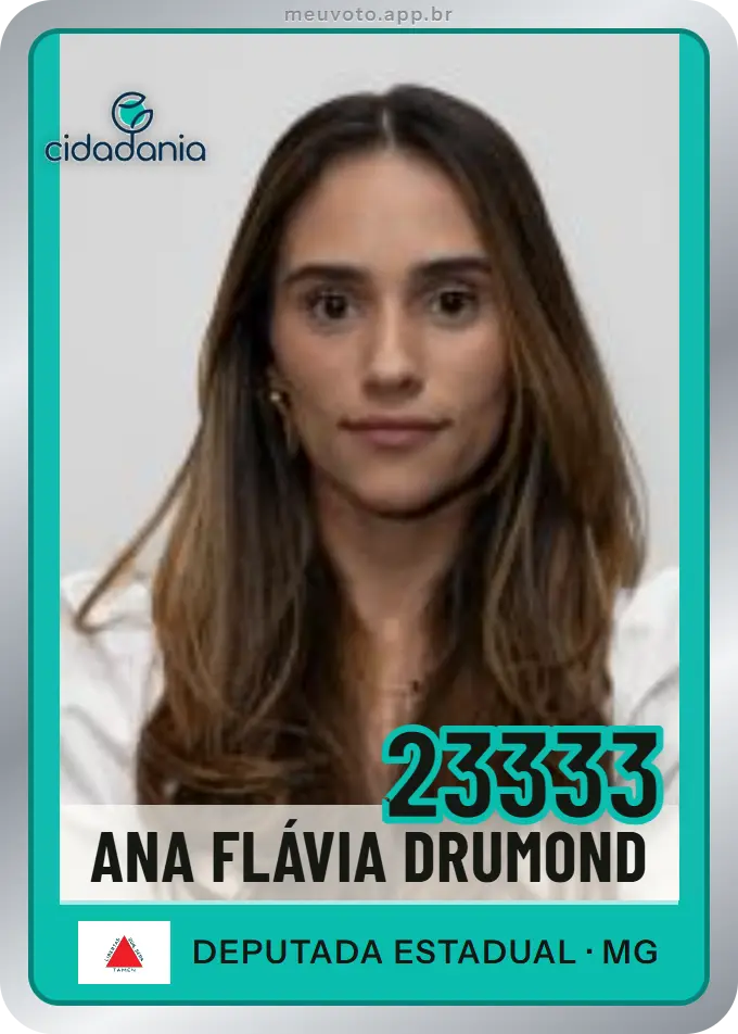 Carta de Ana Flávia Drumond, número 23333, Cidadania