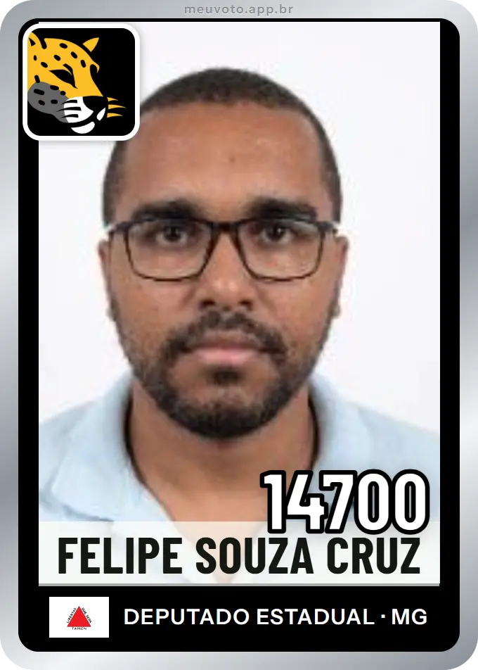 Carta de Felipe Souza Cruz, número 14700, Missão