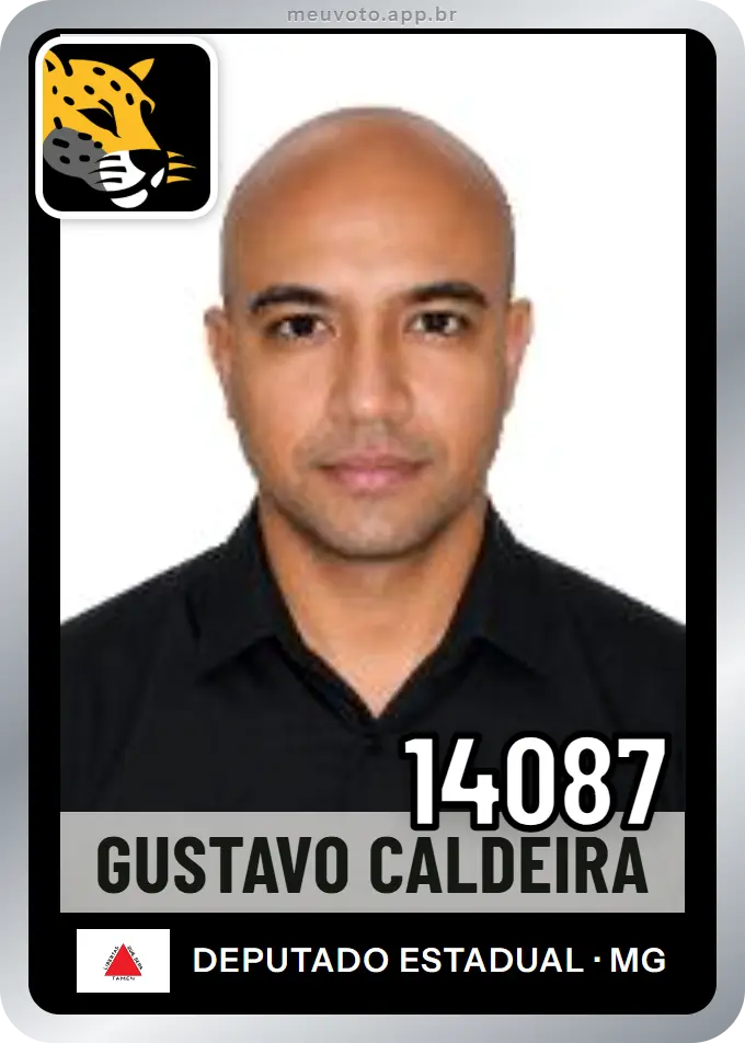 Carta de Gustavo Caldeira, número 14087, Missão