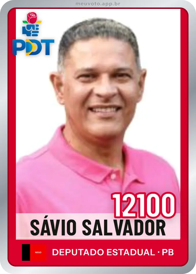 Carta de Sávio Salvador, número 12100, PDT