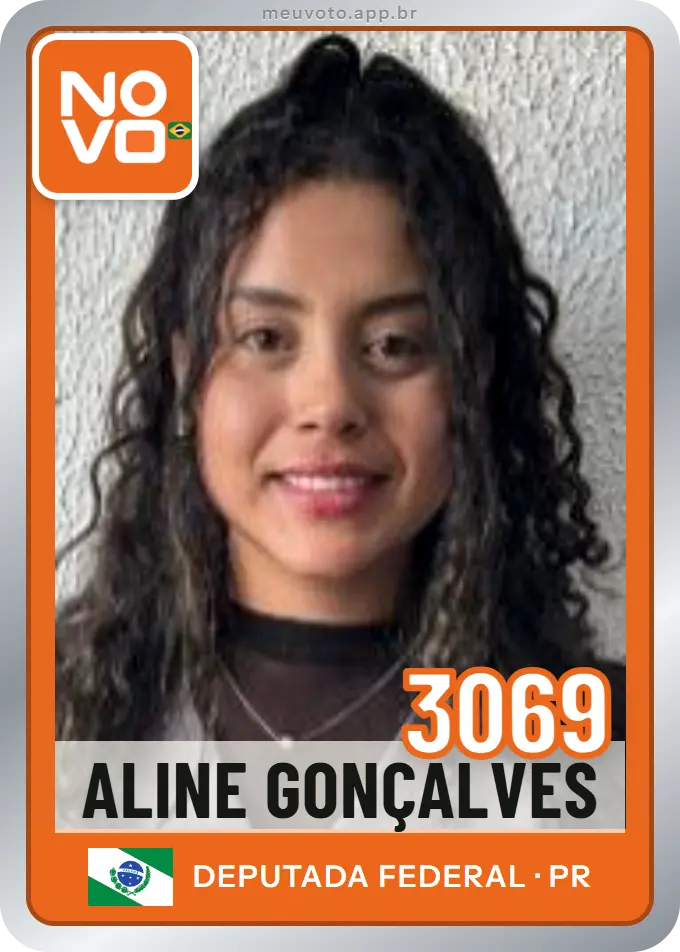 Carta de Aline Gonçalves, número 3069, Novo