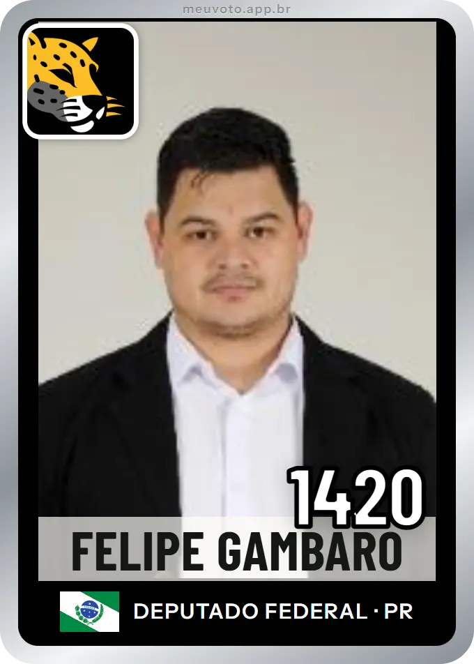 Carta de Felipe Gambaro, número 1420, Missão