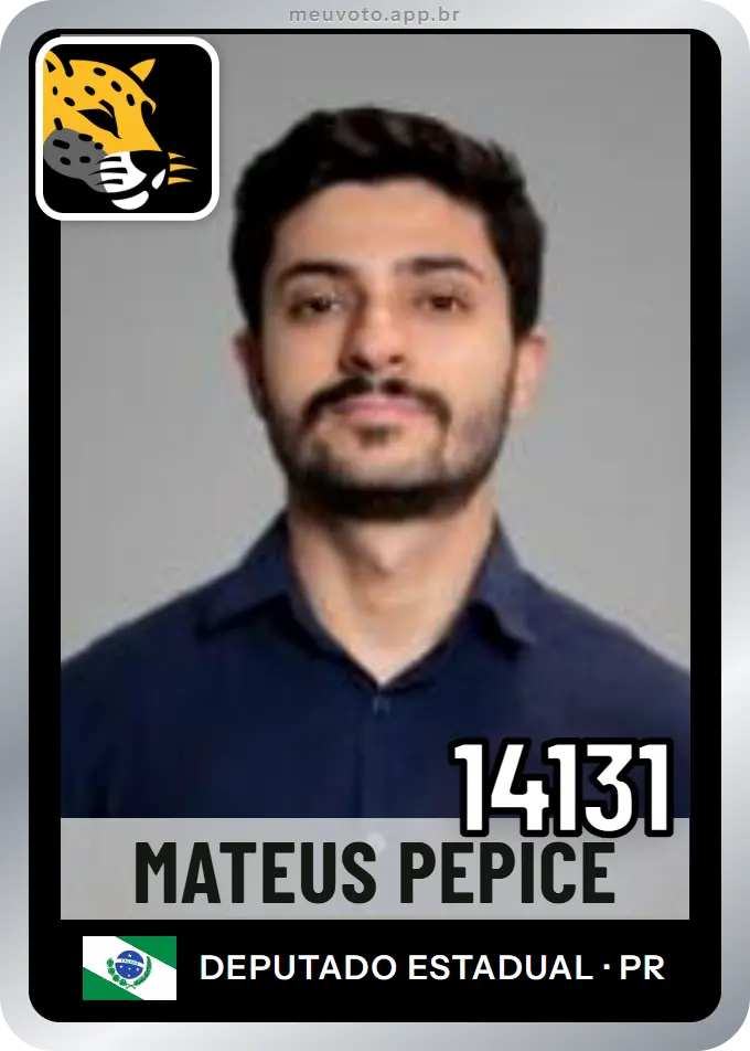 Carta de Mateus Pepice, número 14131, Missão