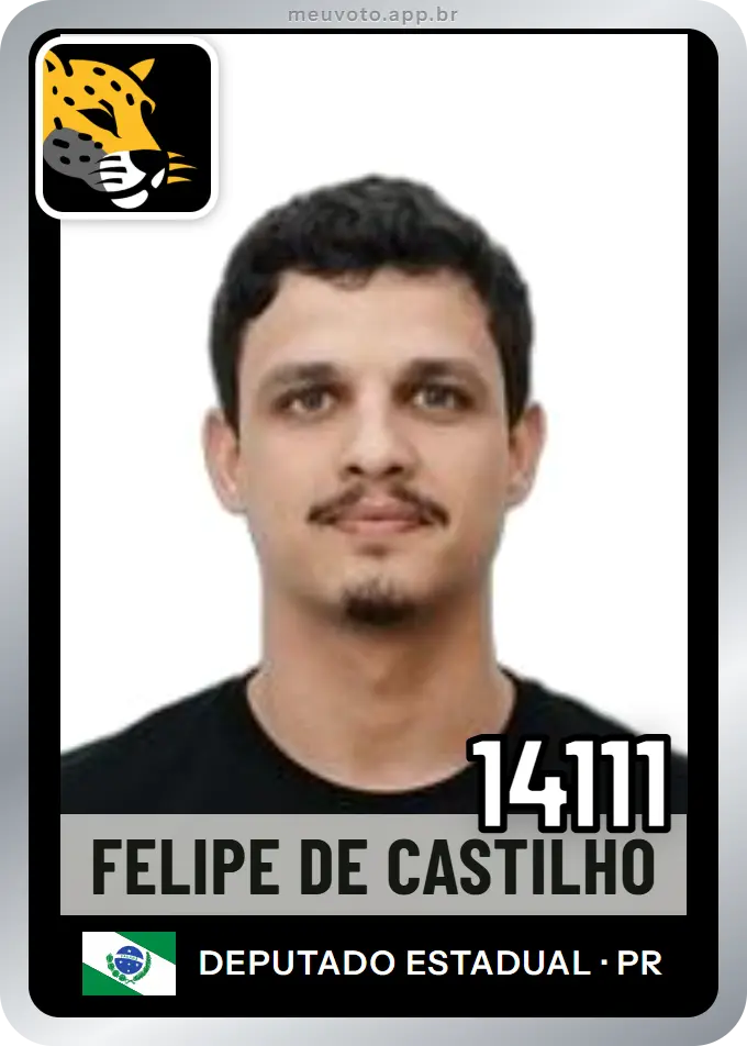 Carta de Felipe de Castilho, número 14111, Missão