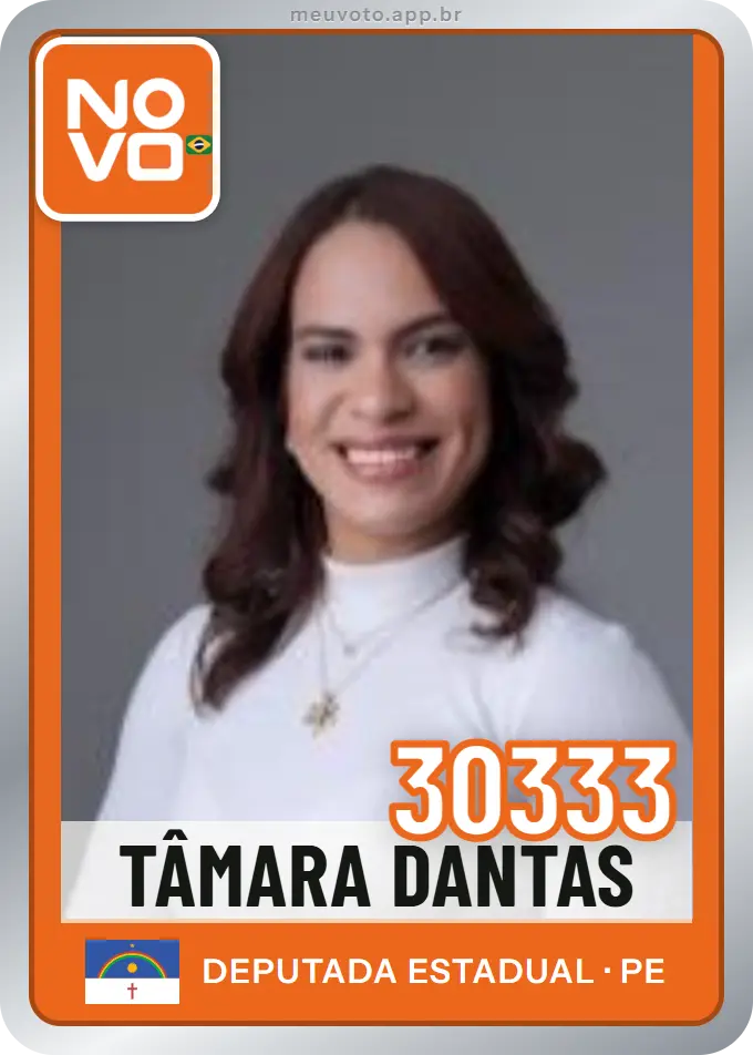 Carta de Tâmara Dantas, número 30333, Novo