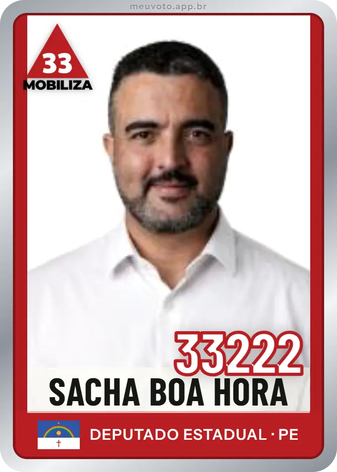 Carta de Sacha Boa Hora, número 33222, Mobiliza