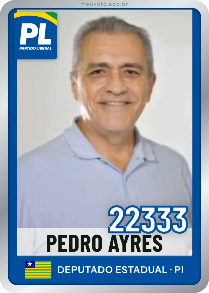 Carta de Pedro Ayres, número 22333, PL