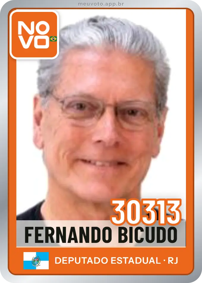 Carta de Fernando Bicudo, número 30313, Novo