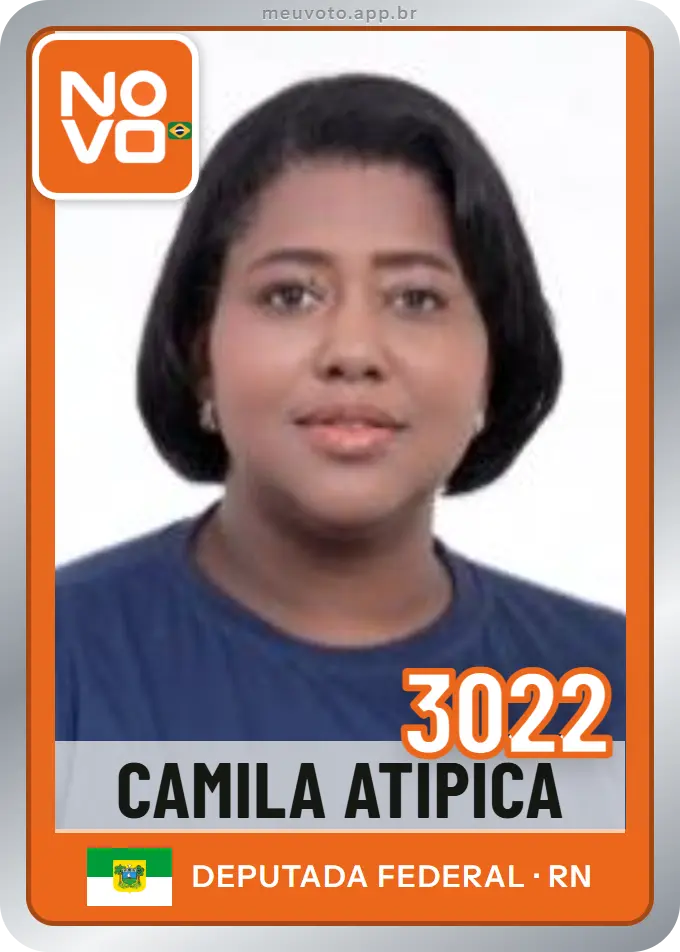 Carta de Camila Atípica, número 3022, Novo