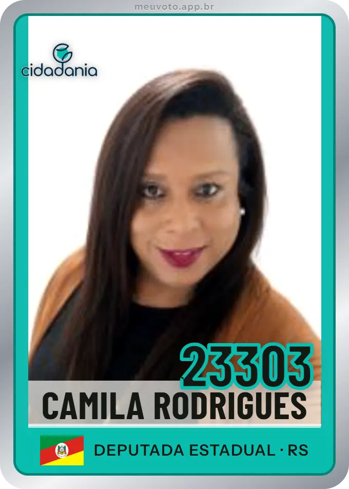 Carta de Camila Rodrigues, número 23303, Cidadania