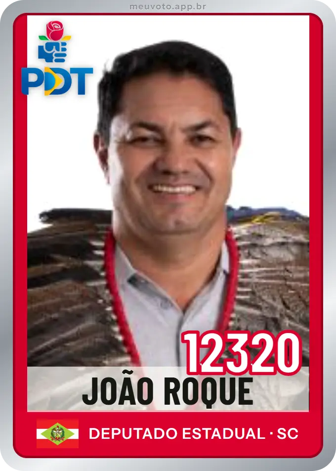Carta de João Roque, número 12320, PDT