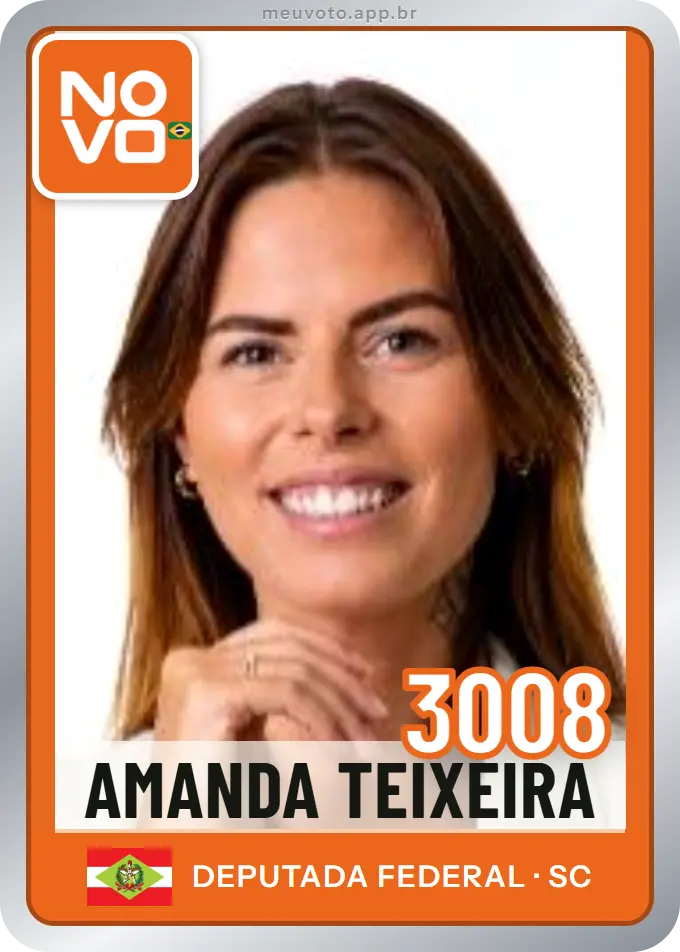 Carta de Amanda Teixeira, número 3008, Novo