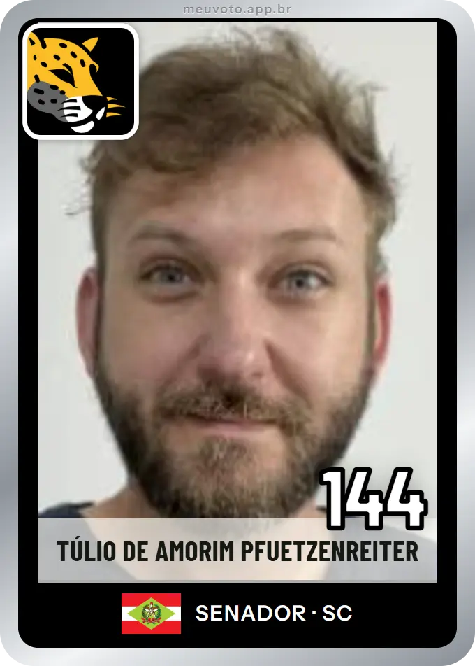 Carta de Túlio de Amorim Pfuetzenreiter, número 144, Missão