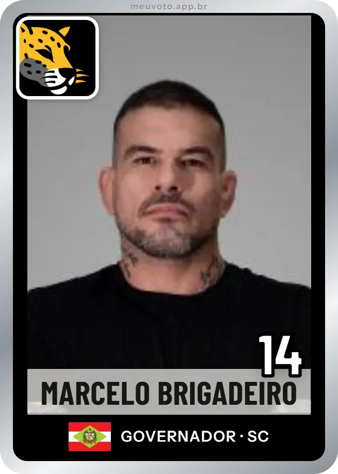 Carta de Marcelo Brigadeiro, número 14, Missão