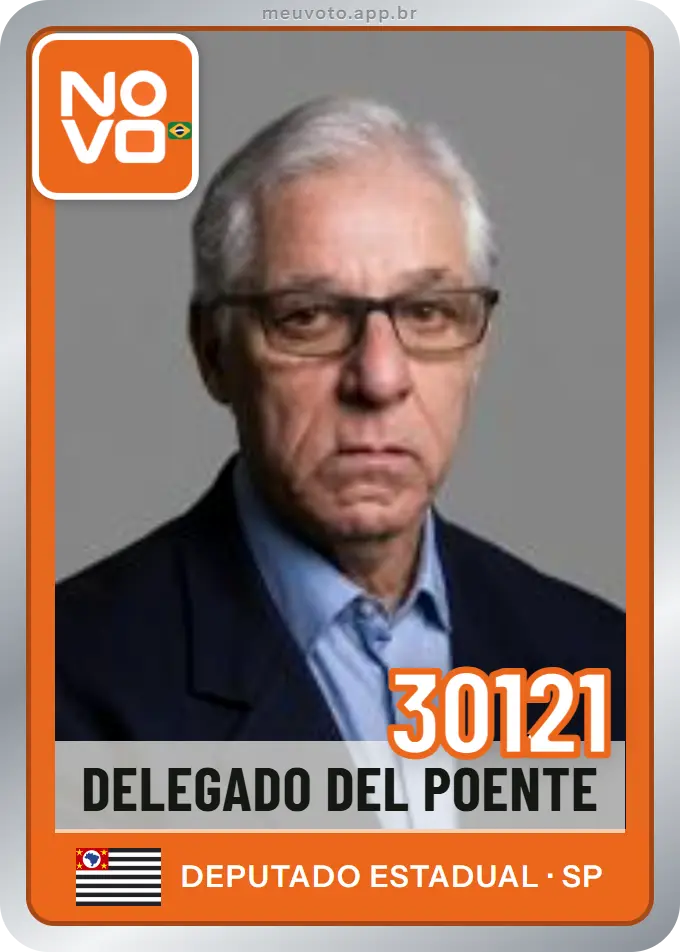 Carta de Delegado del Poente, número 30121, Novo