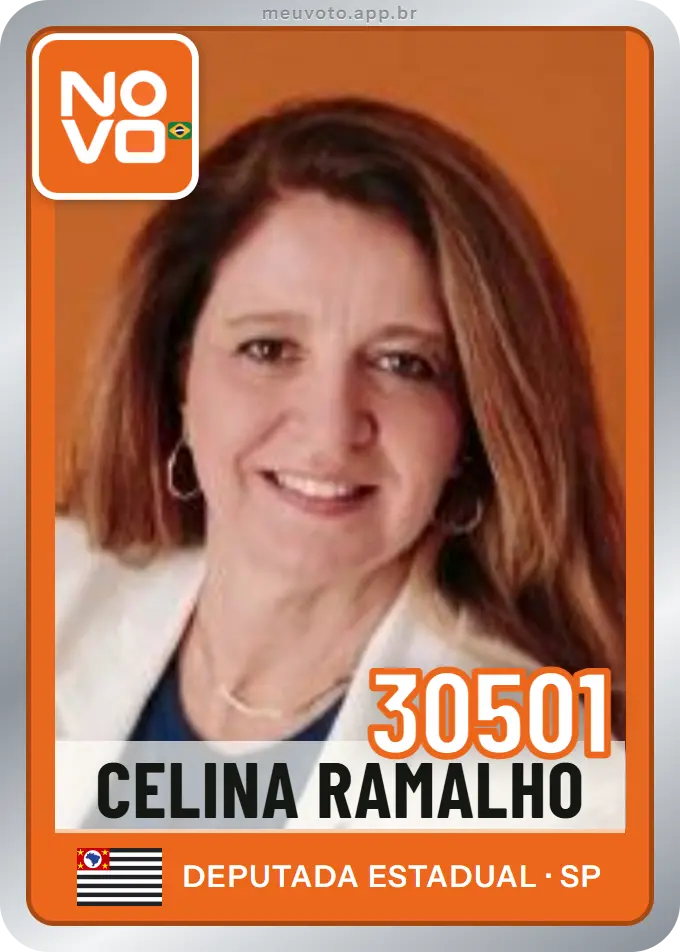 Carta de Celina Ramalho, número 30501, Novo