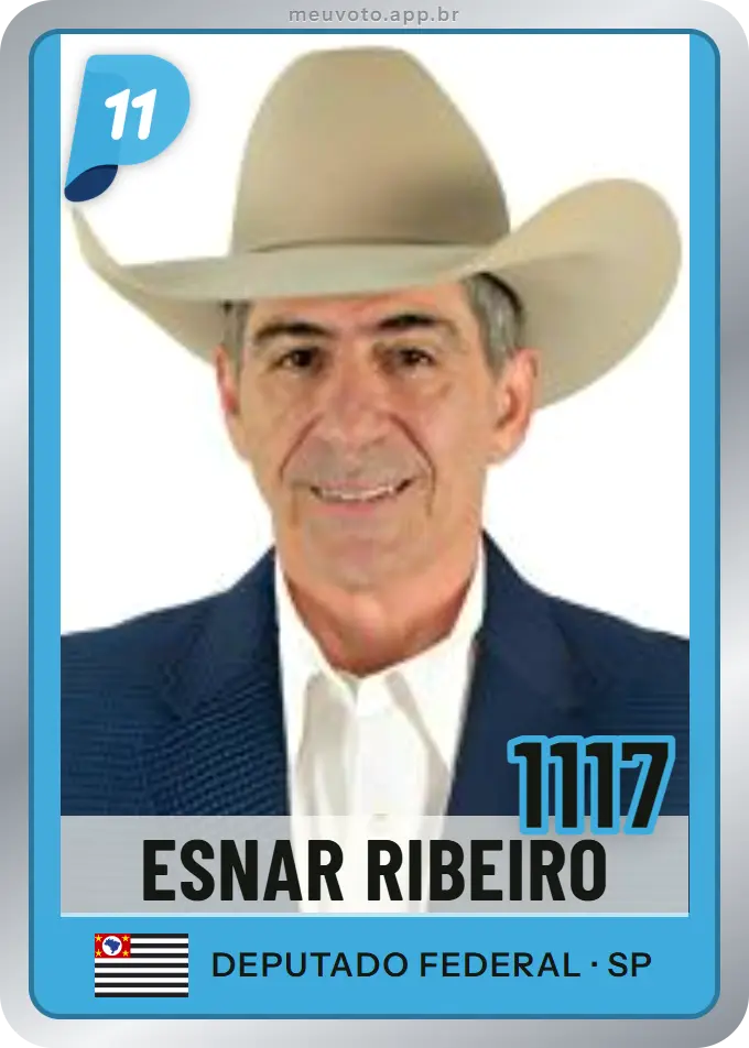 Carta de Esnar Ribeiro, número 1117, PP