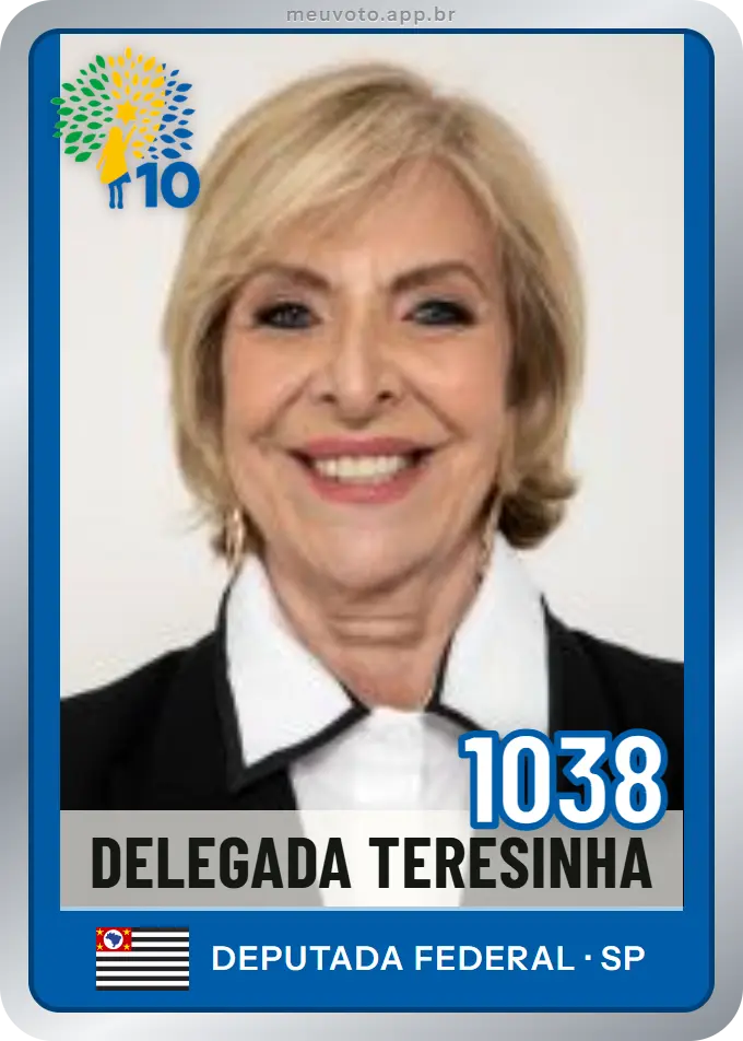 Carta de Delegada Teresinha, número 1038, Republicanos