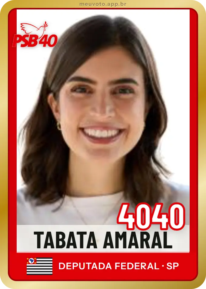 Carta de Tabata Amaral, número 4040, PSB