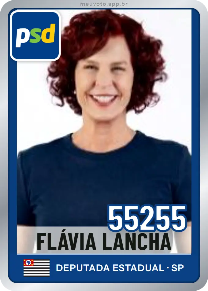 Carta de Flávia Lancha, número 55255, PSD