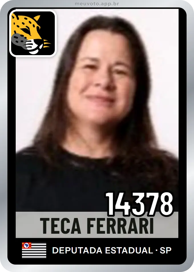 Carta de Teca Ferrari, número 14378, Missão