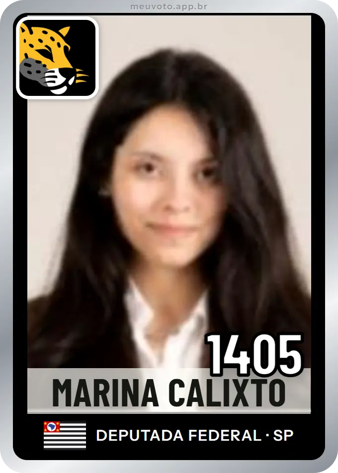 Carta de Marina Calixto, número 1405, Missão