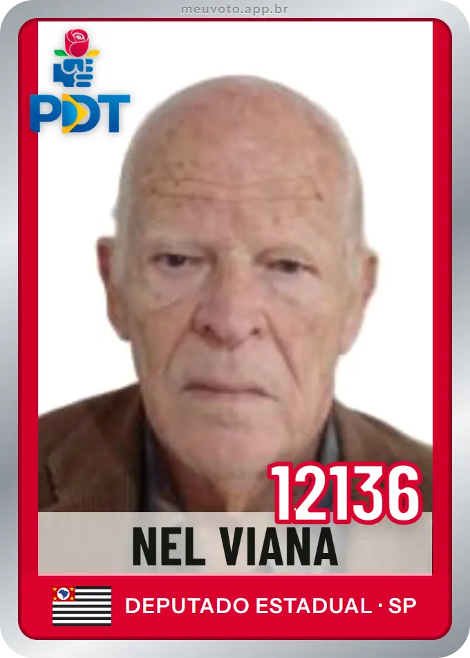 Carta de Nel Viana, número 12136, PDT