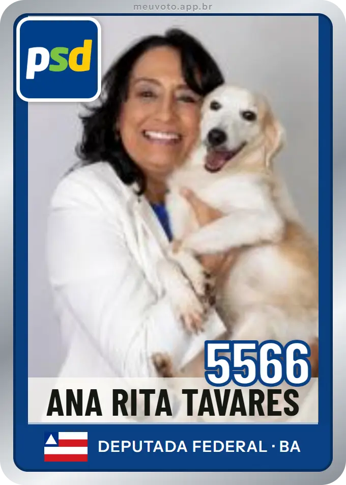 Carta de Ana Rita Tavares, número 5566, PSD