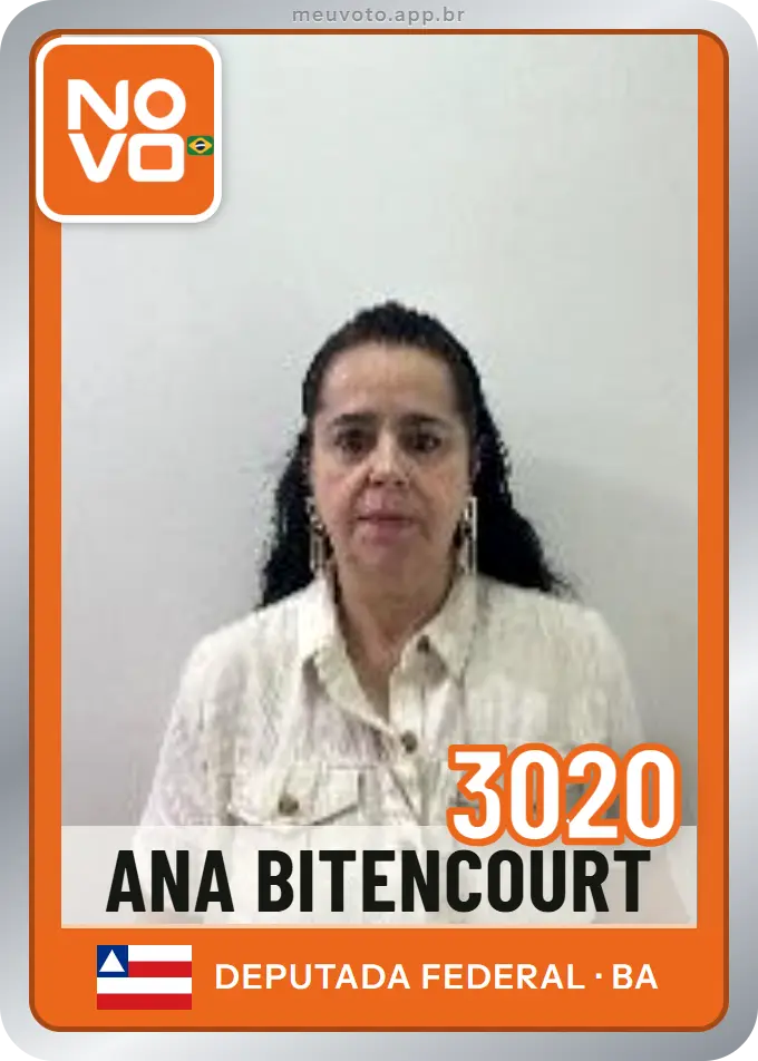 Carta de Ana Bitencourt, número 3020, Novo