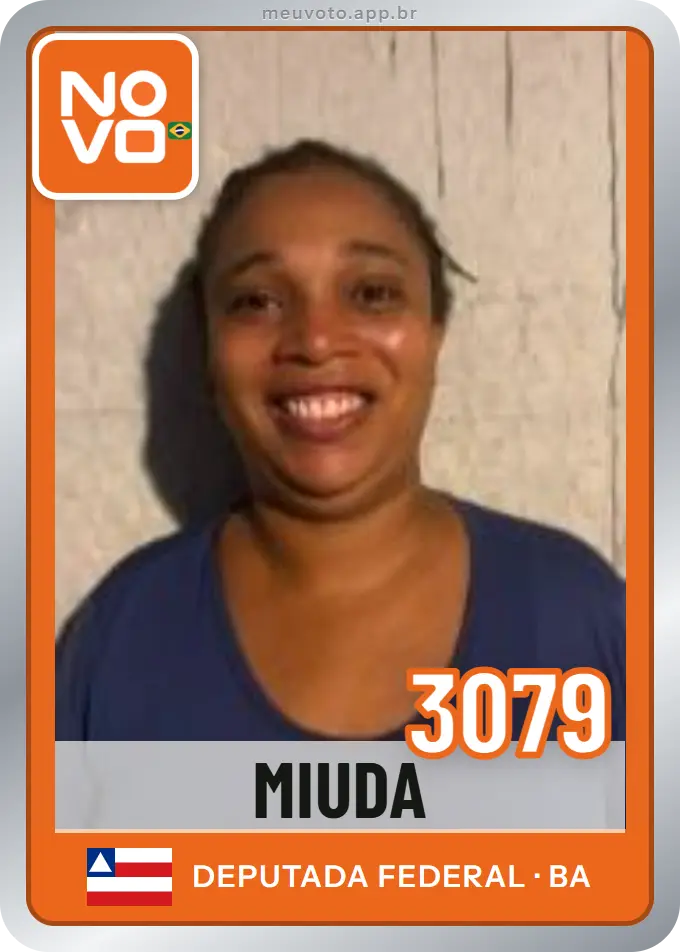 Carta de Miuda, número 3079, Novo