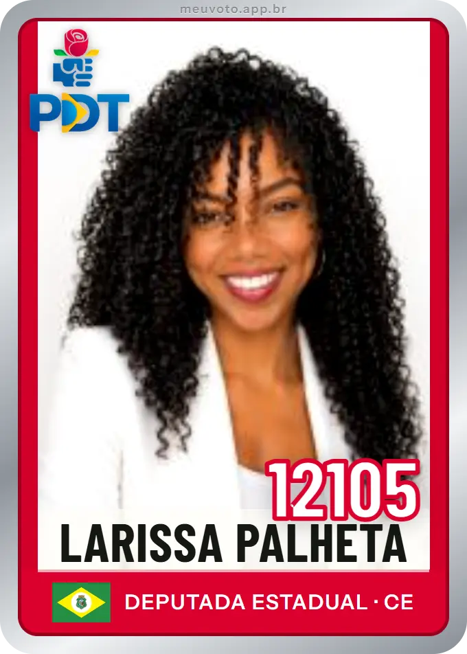 Carta de Larissa Palheta, número 12105, PDT