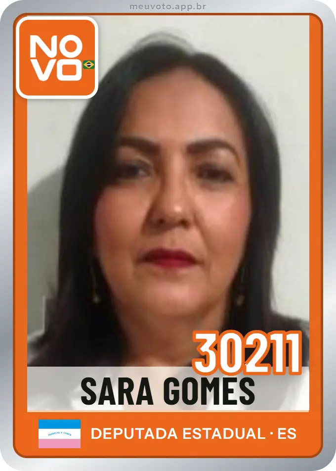 Carta de Sara Gomes, número 30211, Novo