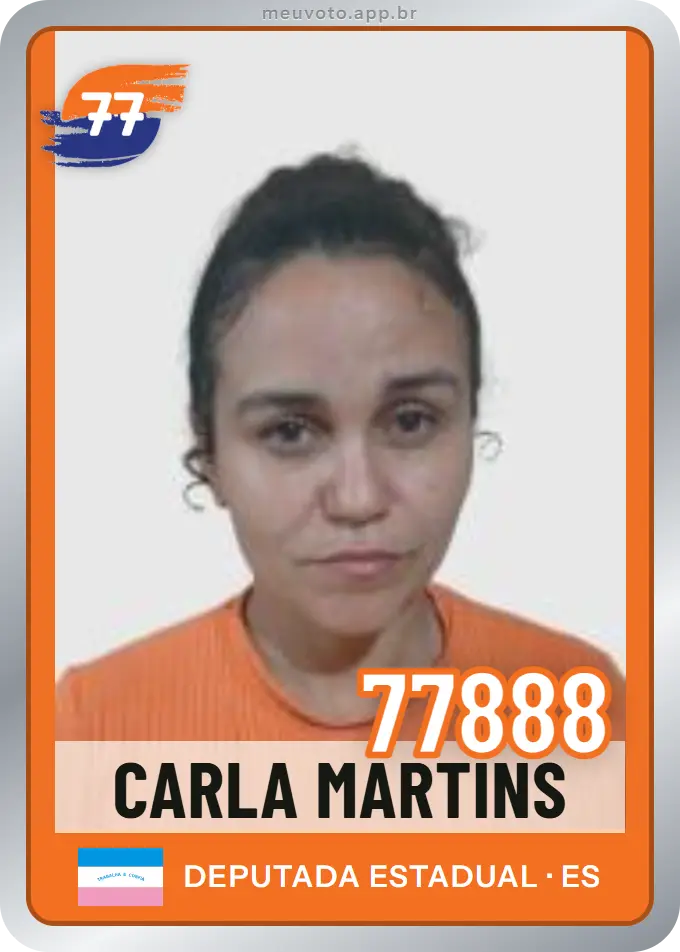 Carta de Carla Martins, número 77888, Solidariedade